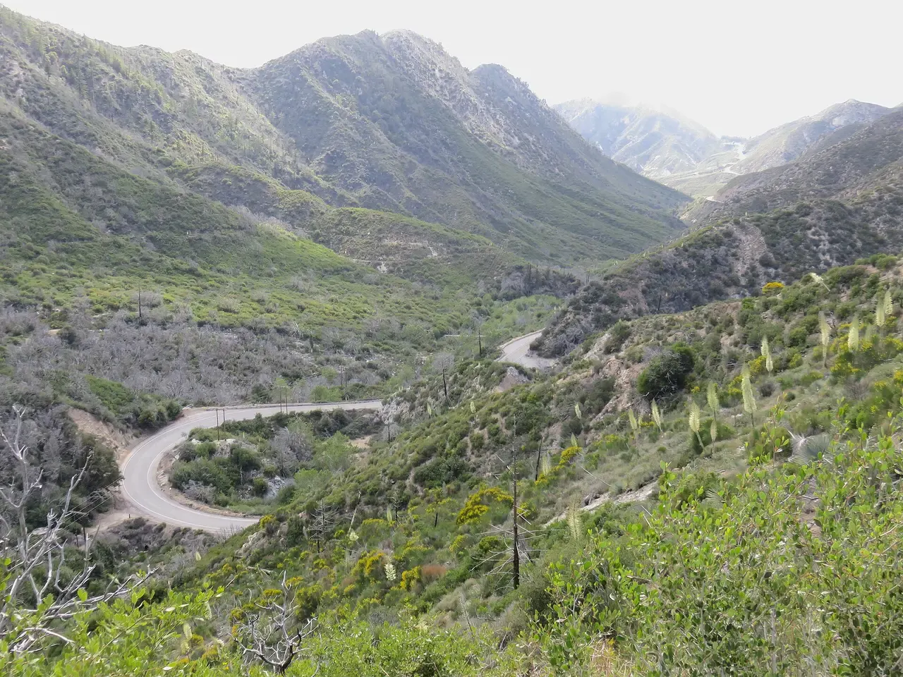 Mountain highway winding through the San Gabriels above the desert
